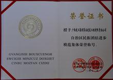 自治區民族團結進步模范集體